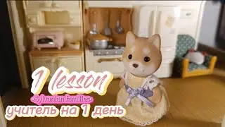 Учитель на 1 день | Мультфильм sylvanian families