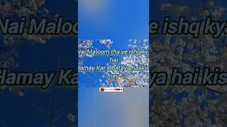 Dil-e-umeed Tora hai kisi nay @Nabylism.official #shorts #urdu #pakistan #reels