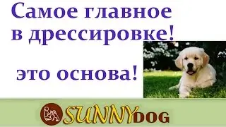 Самое главное в дрессировке! жесткие и мягкие команды  - основа послушания
