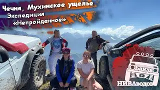 Чечня, Мухинское ущелье. Экспедиция 