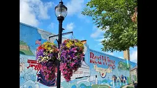 Flower Baskets: A Uniquely Red Wing Icon