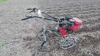 Гербицид из мотоблока, полем картошку