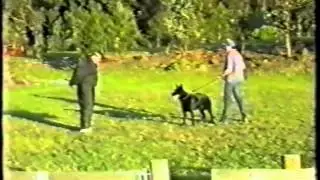Security Pekahiah - Norse 2