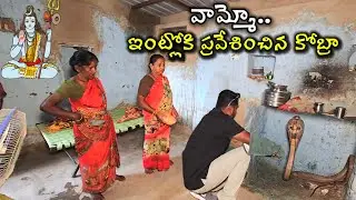 వామ్మో.ఇంట్లోకి ప్రవేశించిన కోబ్రా  #spectacled venomous snake Rescue contact 7396969617
