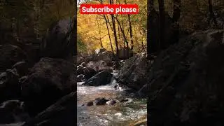 nature lovers 😀🤗