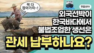 외국선박이 우리나라에서 불법조업한 수산물. 한국산일까요? 관세 납부할까요?