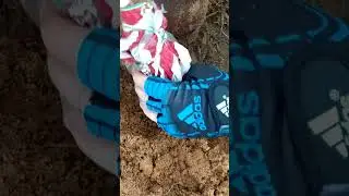 Весенний коп.