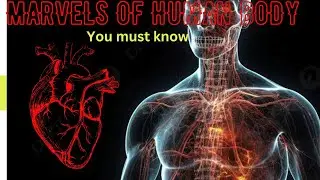 AMAZING WONDERS OF HUMAN BODY AND OTHER SECRETS