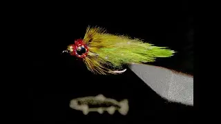 Baby Sunfish Fly