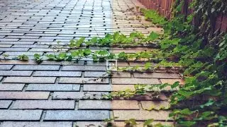 Before/After Image Slider Add-On For Live Composer - Demonstration