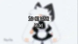 Sad cat dance | animation meme | Flipaclip