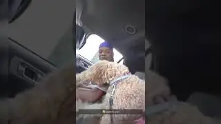 Funny Animals 😂😂😂