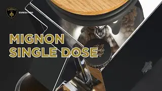 EUREKA ORO - MIGNON SINGLE DOSE
