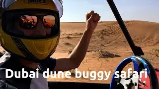 The most fun activity in Dubai: The dune buggy safari! Check the link in the description