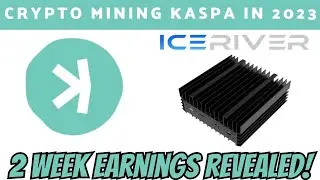 ICERIVER KS0 2 Weeks Review Kaspa Mining in 2023 Kaspa ASIC #cryptomining #kaspa