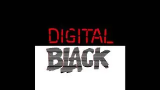 The Network - Digital Black