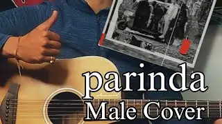 Parinda Guitar Cover | Panther | Priyanka Meher | Sonu Negi Huksi | #panther #parinda