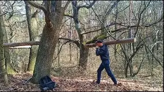 Tree house  Camp Bushcraft