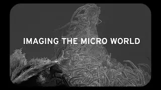 Journey into microspace for art + research