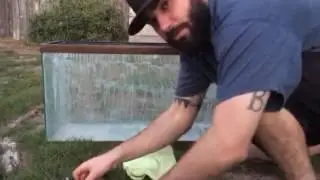 How to clean your aquarium glass (part 2)
