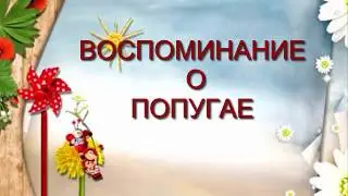 ВОСПОМИНАНИЕ О ПОПУГАЕ