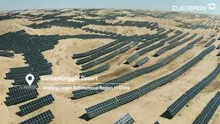 Harnessing the Sun: Clenergy's Solar Breakthrough in the Gobi Desert
