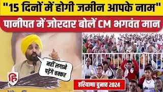 CM Bhagwant Mann Speech at Panipat: व्यापारियों के बीच जोरदार बोलें CM मान | Haryana Elections 2024