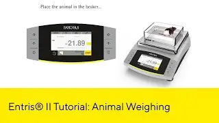 Entris® II Advanced Line Lab Balance: Animal Weighing