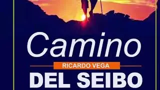 El relato Camino del Seibo ya está a la venta en Amazon