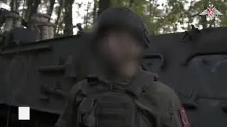 Тюльпаны Отважных.