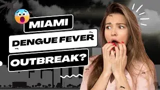 More cases of Dengue in South Florida