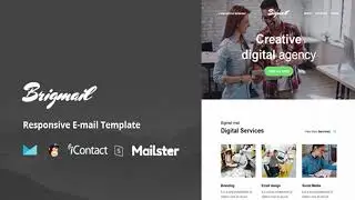 Brigmail - Modules + Online Access + Mailster + MailChimp | Themeforest Website Templates and Themes