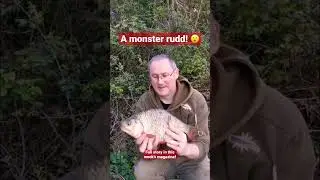 What a fish this is! 😍 Great work by Kevin Sanders, who caught this HUGE rudd! 🎣 