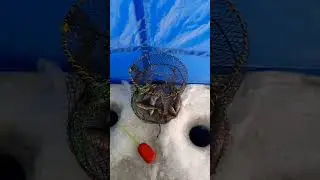 Чудское озеро, рыбалка в палатке с обогревом