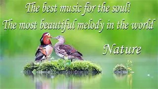 This is the best music for the soul! музыка Сергея Чеклина Nature