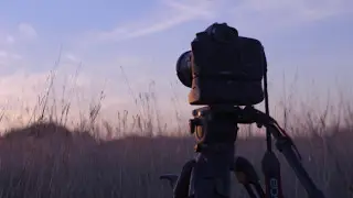 Sunset - C100 Mark II
