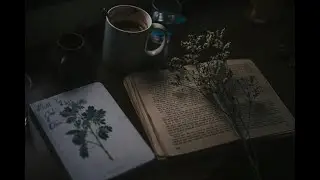 Backend of Video Editing Showreel