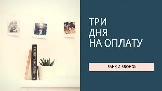 Три дня на оплату. Долговое агентство Феникс не может отойти от скрипта.