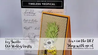 Pineapple in The Tropics