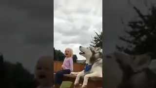 Cute Babies and Puppies | Cute Babies and Puppies Playing Together | Cute Puppy Videos |