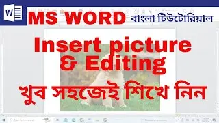 How to Insert Picture in MS Word | How to Edit Picture in MS Word | MS Word Full Course in Bangla