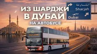 How to get from Sharjah to Dubai on bus