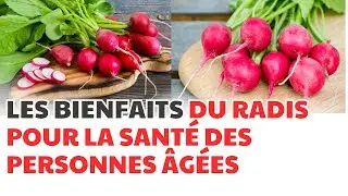 LES BIENFAITS DU RADIS POUR LA SANTÉ DES PERSONNES ÂGÉES | CDT NEWS