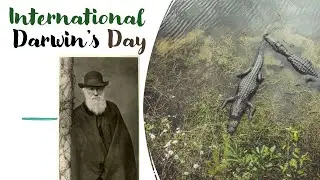 International Darwin's day 12th Feb