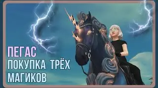 Первый в игре ПЕГАС - покупка ТРЁХ новых магиков | Star Stable