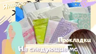 🌼ПРОКЛАДКИ на СЛЕДУЮЩИЕ МС |Январь|🌼