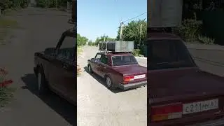 Откорм свиней поросят Грамотное животноводство