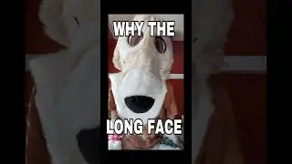 Who Made this Borzoi Fursuit?