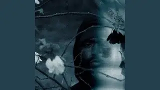 Who You Are