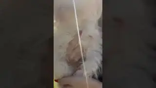 Mine Tugay'dan bikinili paylaşım